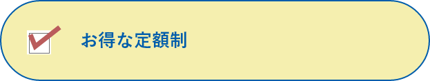 お得な定額制